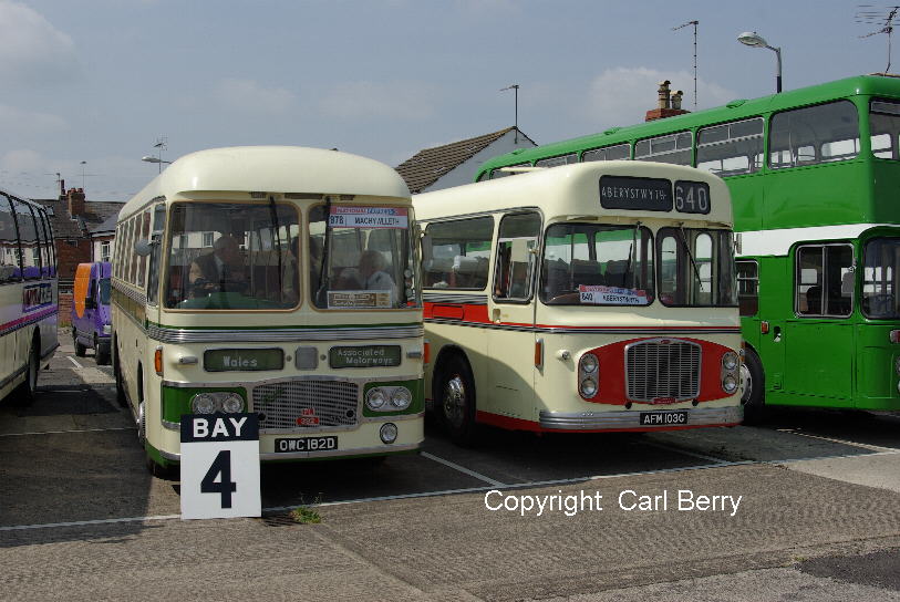 AFM103G at Cheltenham