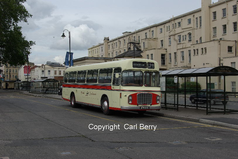 AFM103G at Cheltenham