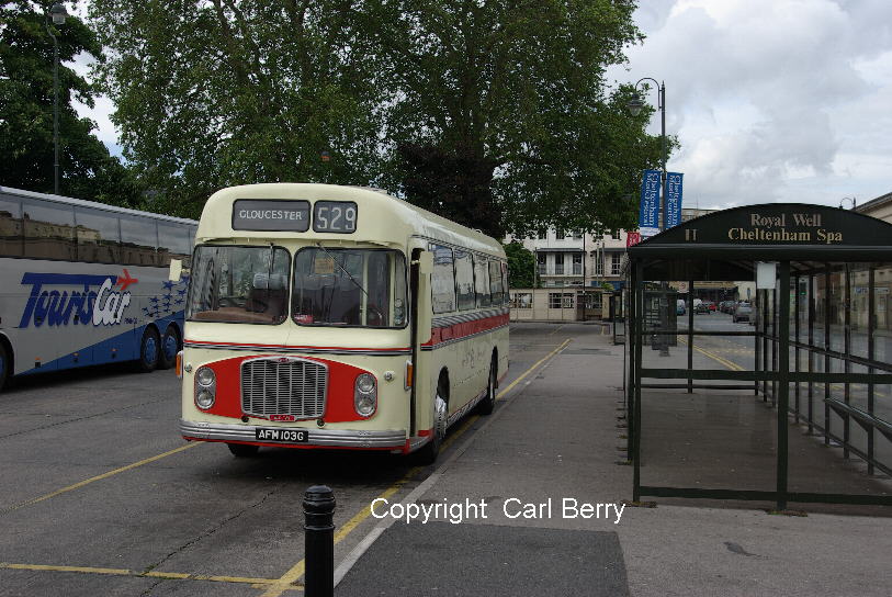 AFM103G at Cheltenham