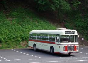 AFM103G at Cheddar